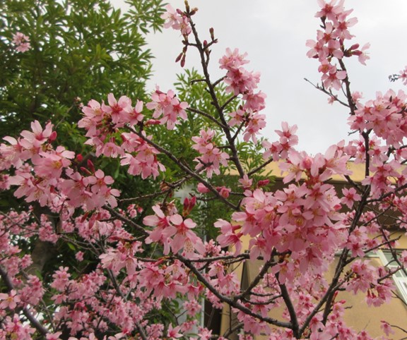 26030511学校の様子