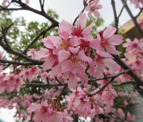 26030512学校の様子