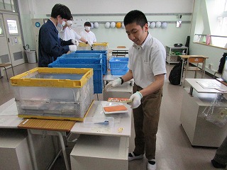 25052203分教室