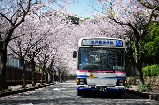 2022bus1