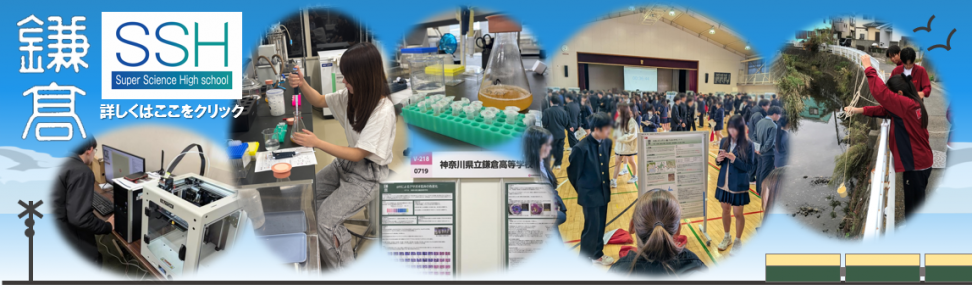 鎌高2026SSH