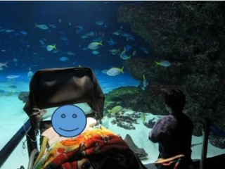 在宅訪問修学旅行2