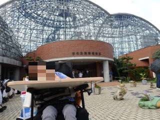 夢の島熱帯植物館3