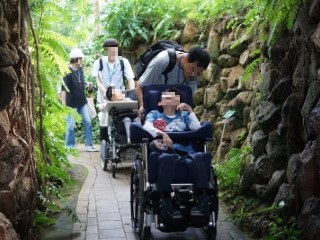 夢の島熱帯植物館6