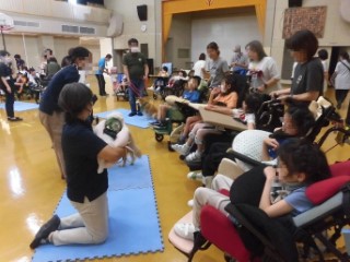 ドッグセラピー