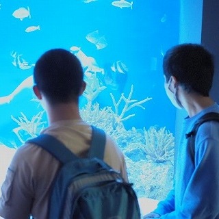 1年新江ノ島水族館その1