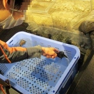 新江ノ島水族館その2