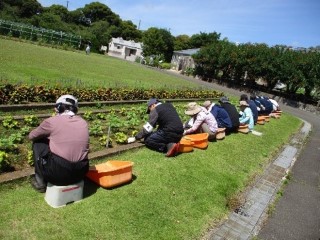 B2グループ実習
