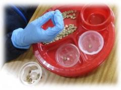 B2後期グループ実習