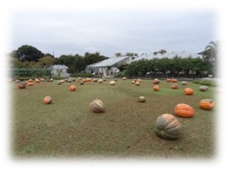 B2グループ実習