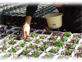 B2グループ実習