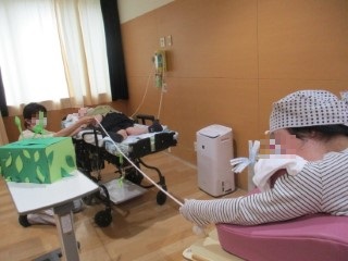 茶摘み