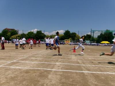 体育祭さん