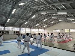 karate1