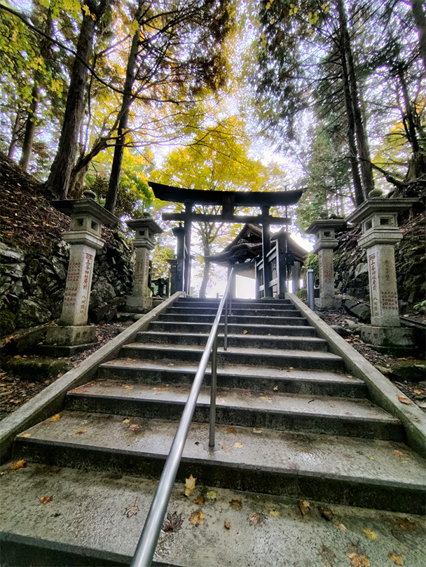 写真部2026年2月作品集_04