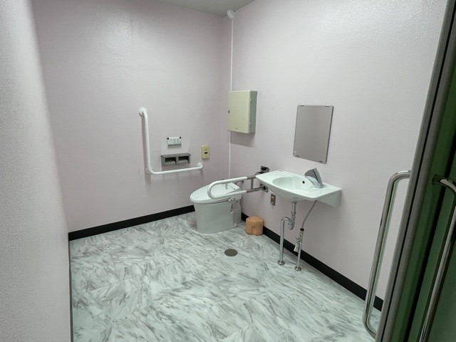 wc13