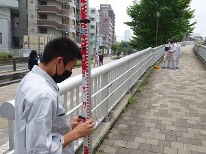 level