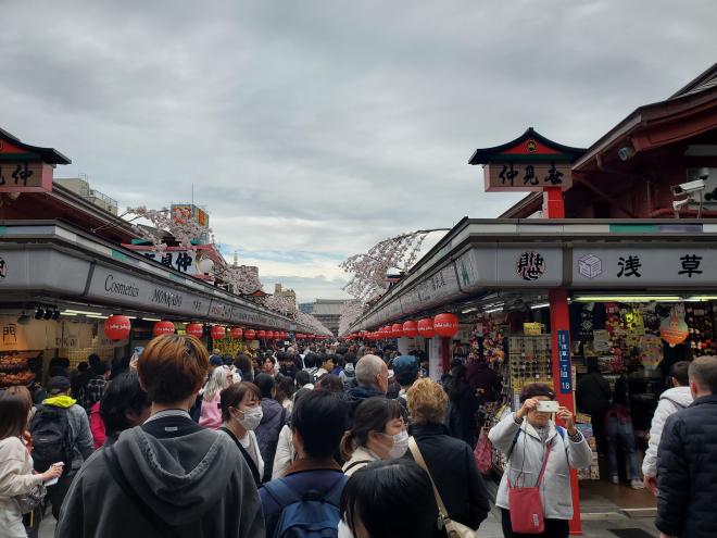 校外学習浅草2
