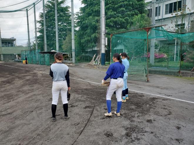 女子野球2