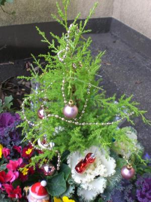 H30_1213正門前の花1