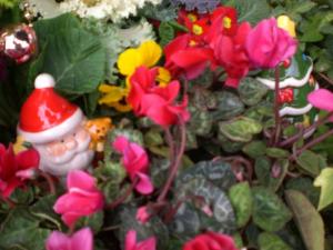 H30_1213正門前の花2