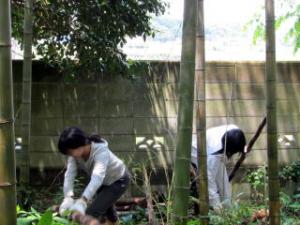 たけのこ掘り1