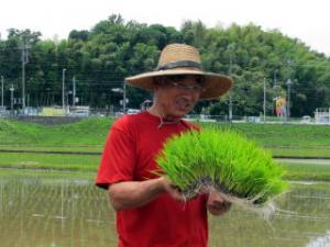 田植え1