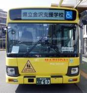 黄色正面