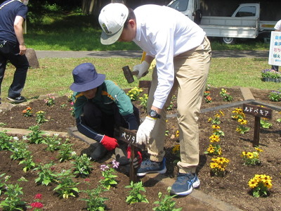 花の苗植えの様子4