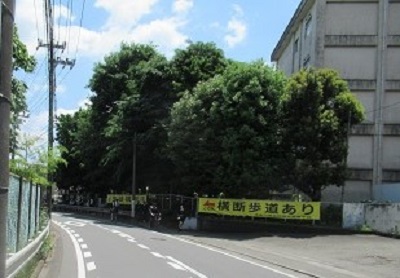 横断歩道