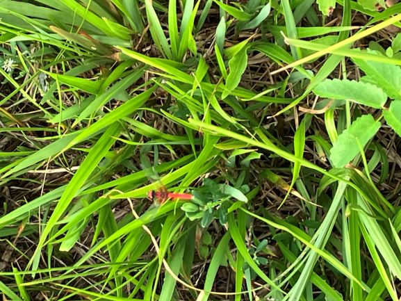 理科同好会202501