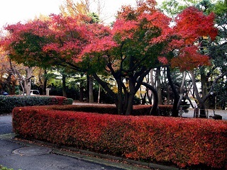 正面玄関前の風景