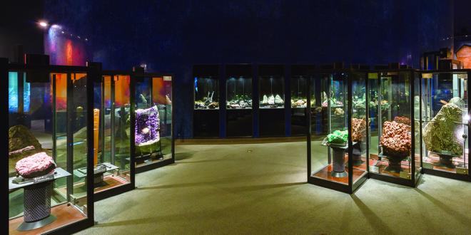 展示