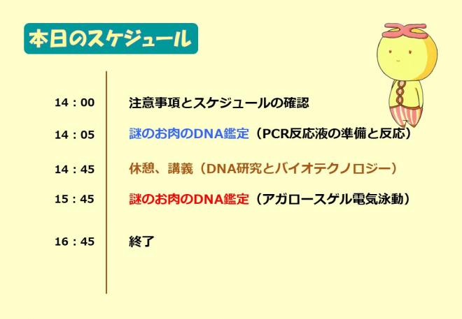 2605nazoniku01