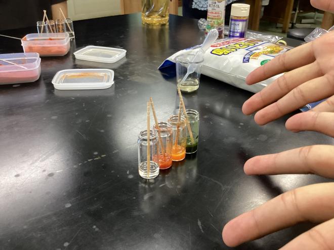 2608kitchen04