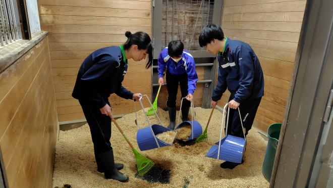 ウマ小屋