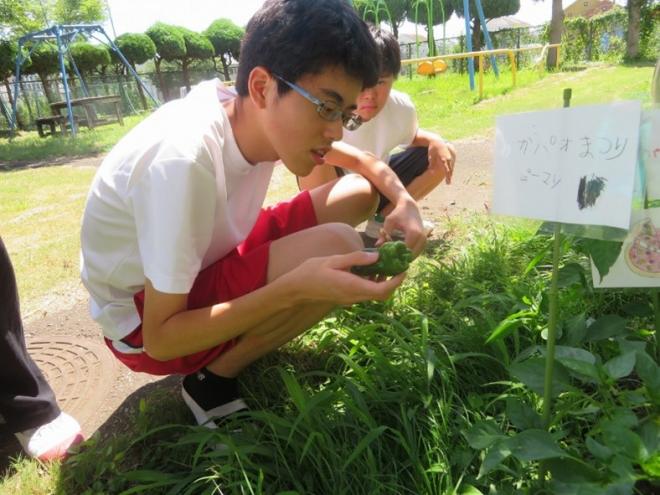 ガパオ生徒写真3