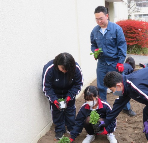 R7フラワープロジェクト3