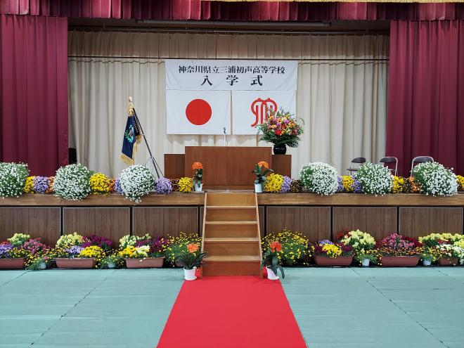 nyugakushiki2
