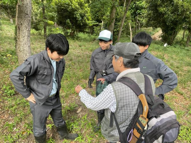 satoyama3