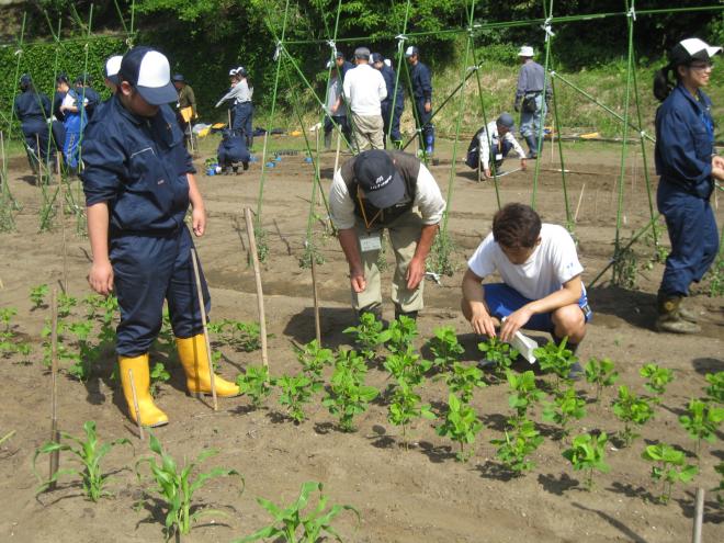 自然と農業生育調査