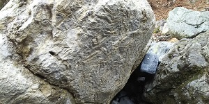 神奈川県の化石「丹沢層群のサンゴ化石群」周辺を整備2