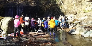 神奈川県の化石「丹沢層群のサンゴ化石群」周辺を整備3