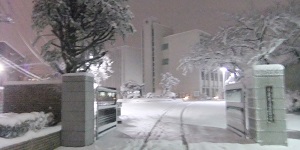 大雪のため、休校に。1