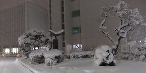 大雪のため、休校に。2