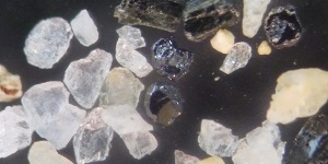 青少年のための科学の祭典2018神奈川大会4