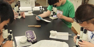 室内分析と学習成果をまとめ2