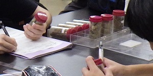 多摩川でフィールドワークを実施1