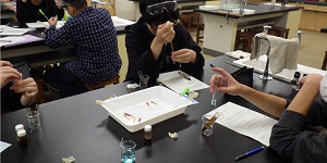 土と水の環境化学2