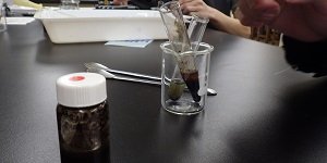 土と水の環境化学3